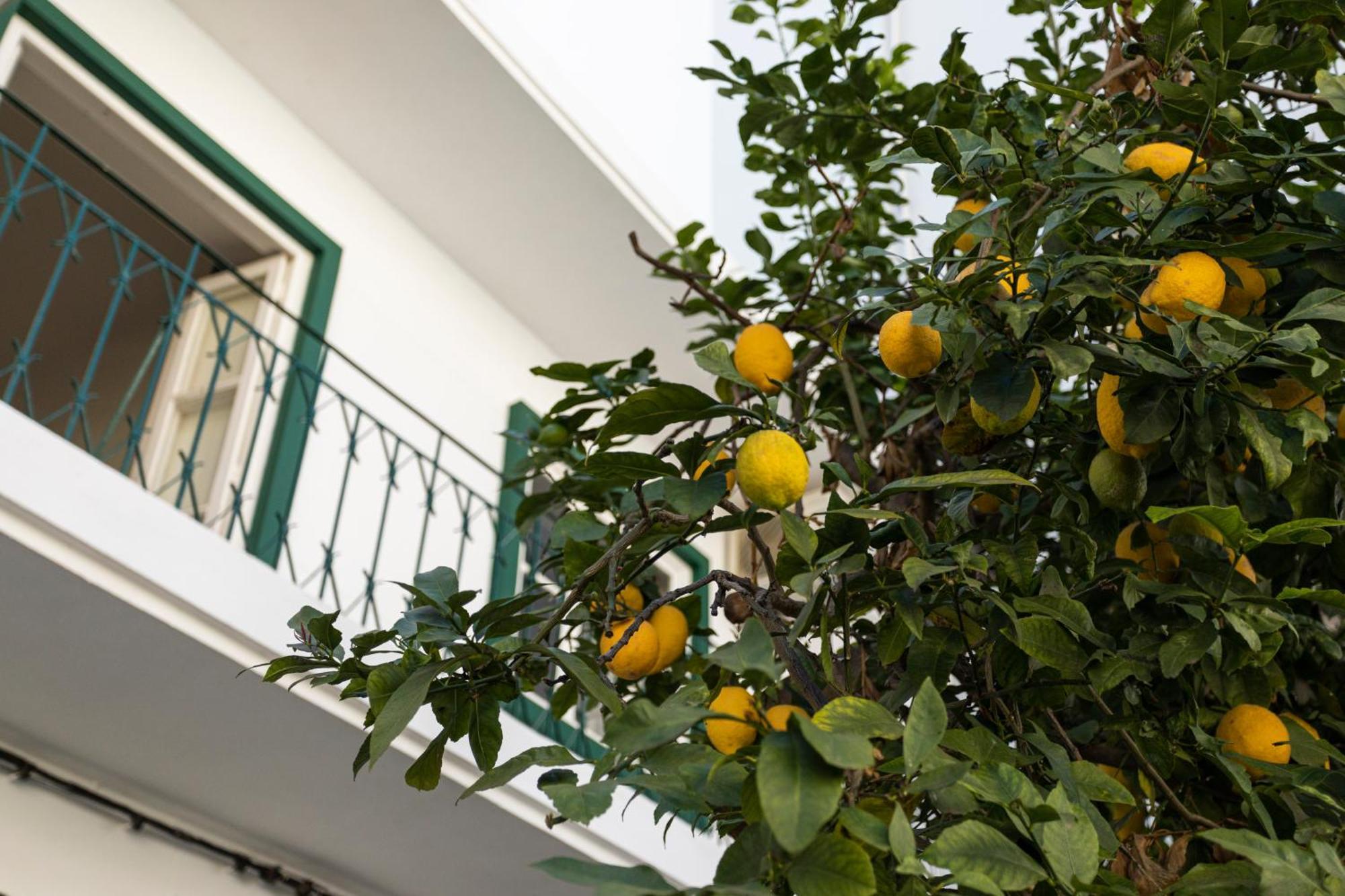 Lemon Hostel FAO Dış mekan fotoğraf